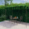 Image de Pergola De Jardin 6x3x2,5 M Fer Brun Antique Tonnelle