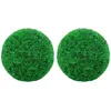 Image de Vidaxl Boules De Buis Artificielles 2 Pcs 35 Cm