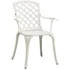 Image de Vidaxl Chaises De Jardin Lot De 2 Aluminium CoulÃ© Blanc