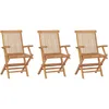 Image de Vidaxl Chaises De Jardin Pliables 3 Pcs Bois De Teck Massif