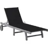 Image de Vidaxl Chaise Longue De Jardin Avec Coussin Gris Bois D'acacia Solide
