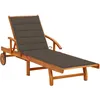 Image de Vidaxl Chaise Longue De Jardin Avec Coussin Bois D'acacia Solide