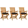 Image de Vidaxl Chaises De Jardin Avec Coussins Noir 3 Pcs Bois De Teck Massif