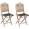 Image de Vidaxl Chaises Pliables De Jardin 2 Pcs Avec Coussins Bambou
