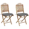 Image de Vidaxl Chaises Pliables De Jardin 2 Pcs Avec Coussins Bambou