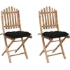 Image de Vidaxl Chaises Pliables De Jardin 2 Pcs Avec Coussins Bambou