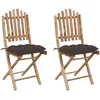 Image de Vidaxl Chaises Pliables De Jardin 2 Pcs Avec Coussins Bambou