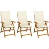 Image de Vidaxl Chaises Pliables De Jardin 3 Pcs Avec Coussins Bois D'acacia