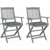 Image de Vidaxl Chaises Pliables D'extÃ©rieur Lot De 2 Et Coussins Bois D'acacia