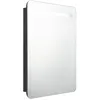 Image de Armoire de salle de bain Ã  miroir LED Noir 60x11x80 cm - VidaXL