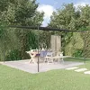 Image de Vidaxl Chaises De Jardin 8 Pcs Avec Coussins Bois De Teck Massif