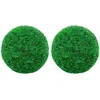 Image de Vidaxl Salon De Jardin 8 Pcs Avec Coussins Bois De Pin Massif