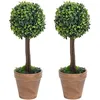 Image de vidaXL Plantes de buis artificiel 2 pcs avec pots Boule Vert 41 cm