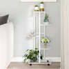 Image de Vidaxl Salon De Jardin 3 Pcs Avec Coussins Blanc Bois De Pin Massif