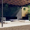 Image de Vidaxl Salon De Jardin 7 Pcs Avec Coussins Bois De Pin Massif