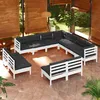 Image de Vidaxl Salon De Jardin 11 Pcs Avec Coussins Blanc Bois De Pin Solide