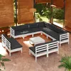Image de Vidaxl Salon De Jardin 12 Pcs Avec Coussins Blanc Bois De Pin Solide