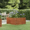 Image de Vidaxl Lit SurÃ©levÃ© De Jardin Gris 100x100x45 Cm Acier Corten