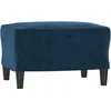 Image de vidaXL Repose-pied Bleu 60x50x41 cm Velours