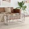 Image de Vidaxl Table Basse 110x45x45 Cm Acier Inoxydable Et Verre