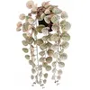 Image de Plante dÃ©corative - MICA DECORATIONS - Ceropegia Woodii - Artificielle - Ã Suspendre - Multicolore