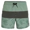 Image de Maillots de bain O'neill  Short de bain O'Neill Mix Match Cali Block 15'' P31094174