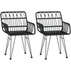 Image de Vidaxl Chaises De Jardin 2 Pcs Avec Accoudoir Noir 56x64x80 Cm