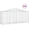 Image de Vidaxl Paniers Ã Gabions ArquÃ©s 40 Pcs 200x50x80/100 Cm Fer GalvanisÃ©