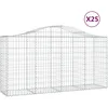 Image de Vidaxl Paniers Ã Gabions ArquÃ©s 25 Pcs 200x50x100/120 Cm Fer GalvanisÃ©