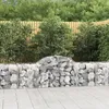 Image de Vidaxl Paniers Ã Gabions ArquÃ©s 40 Pcs 200x50x60/80 Cm Fer GalvanisÃ©
