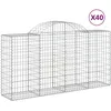 Image de Paniers Ã Gabions ArquÃ©s 40 Pcs 200x50x100/120 Cm Fer GalvanisÃ© Vidaxl Vidaxl