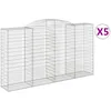 Image de Vidaxl Paniers Ã Gabions ArquÃ©s 5 Pcs 300x50x160/180 Cm Fer GalvanisÃ©