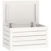 Image de vidaXL BoÃ®te de rangement Blanc 59,5x36,5x33 cm Bois massif de pin