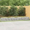 Image de Vidaxl Lit SurÃ©levÃ© Ã Gabions ArquÃ© 400x50x50 Cm Fer GalvanisÃ©