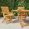Image de Vidaxl Chaises De Jardin Pliantes 2 Pcs 56x63x90 Cm Bois Massif Teck
