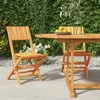Image de Vidaxl Chaises De Jardin Pliantes 2 Pcs 47x61x90 Cm Bois Massif Teck