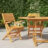 Image de Vidaxl Chaises De Jardin Pliantes 2 Pcs 55x62x90 Cm Bois Massif Teck