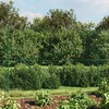 Image de Vidaxl ClÃ´ture Ã Mailles LosangÃ©es Avec Bride Vert 1,4x25 M