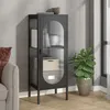 Image de vidaXL Buffet noir 40x35x105 cm verre et acier