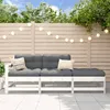 Image de Vidaxl Salon De Jardin 3 Pcs Avec Coussins Blanc Bois Massif