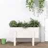 Image de Vidaxl JardiniÃ¨re Blanc 62x30x38 Cm Bois Massif De Pin