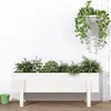 Image de Vidaxl Lit SurÃ©levÃ© De Jardin Blanc 101x30x38 Cm Bois De Pin Massif