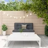 Image de Vidaxl Salon De Jardin 2 Pcs Blanc Bois De Pin Massif