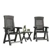 Image de Ensemble table et chaises de jardin VidaXL  Chaises inclinables de jardin  lot de 2 gris P31600197
