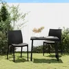 Image de Vidaxl Chaises De Jardin Lot De 2 Anthracite 50x46x80 Cm PolypropylÃ¨ne