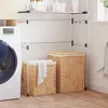 Image de vidaXL Paniers Ã  linge 2 pcs hyacinthe d'eau