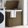 Image de vidaXL Panier Ã  linge avec 2 sections 53x35x57 cm rÃ©sine tressÃ©e