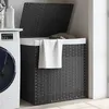 Image de vidaXL Panier Ã  linge avec 2 sections gris 53x35x57 cm rÃ©sine tressÃ©e