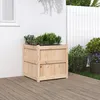 Image de Vidaxl JardiniÃ¨re D'extÃ©rieur 60x60x60 Cm Bois De Pin Massif