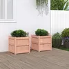 Image de Vidaxl JardiniÃ¨res 2 Pcs Bois Massif Douglas